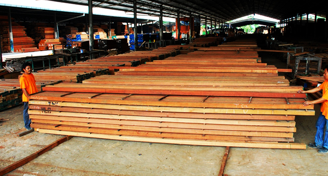 filtra timber trading - rough lumber supplies