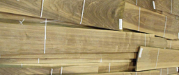 Veneers_Specialty_Veneer