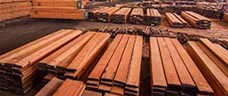 Stocks stocks at filtra timber trading