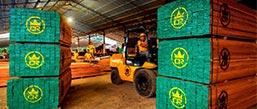 imported-hardwood imported hardwood | filtra timber trading