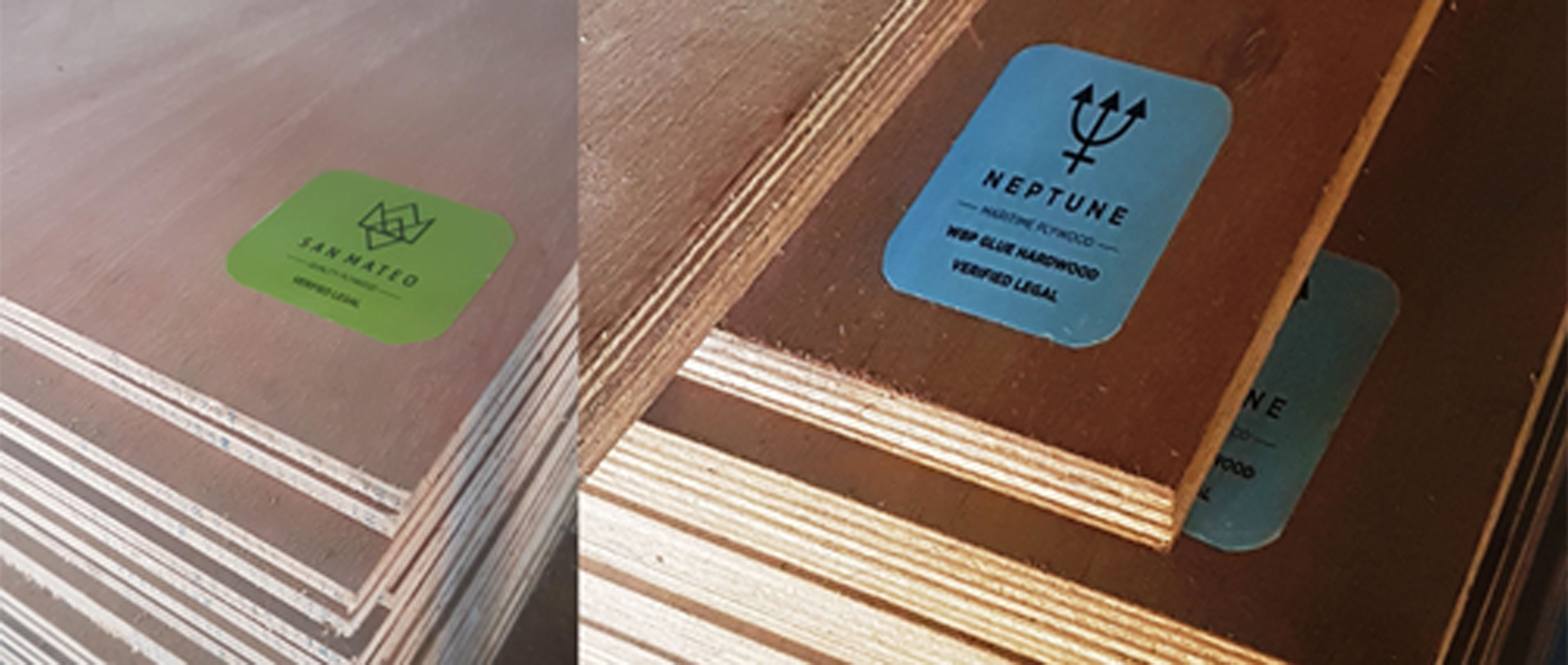 SanMateo and Neptune_plywood SanMateo and Neptune plywood
