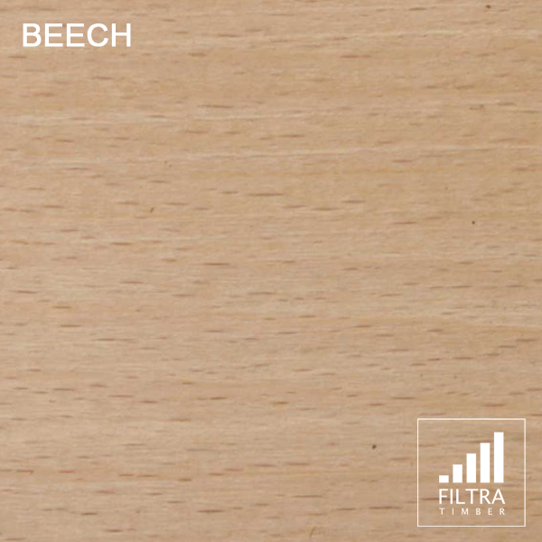 beech beech