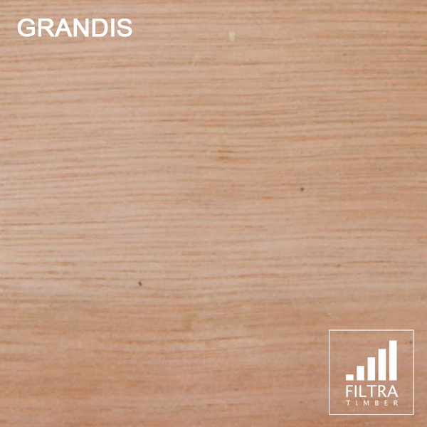 grandis grandis