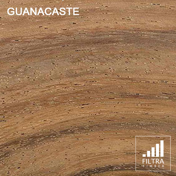 guanacaste