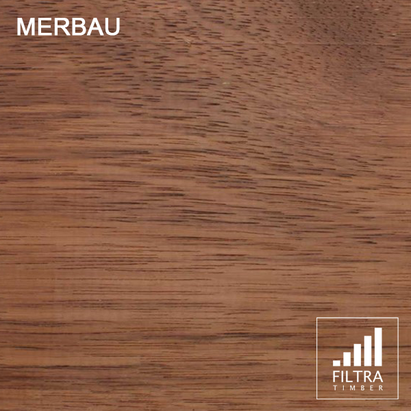 merbau